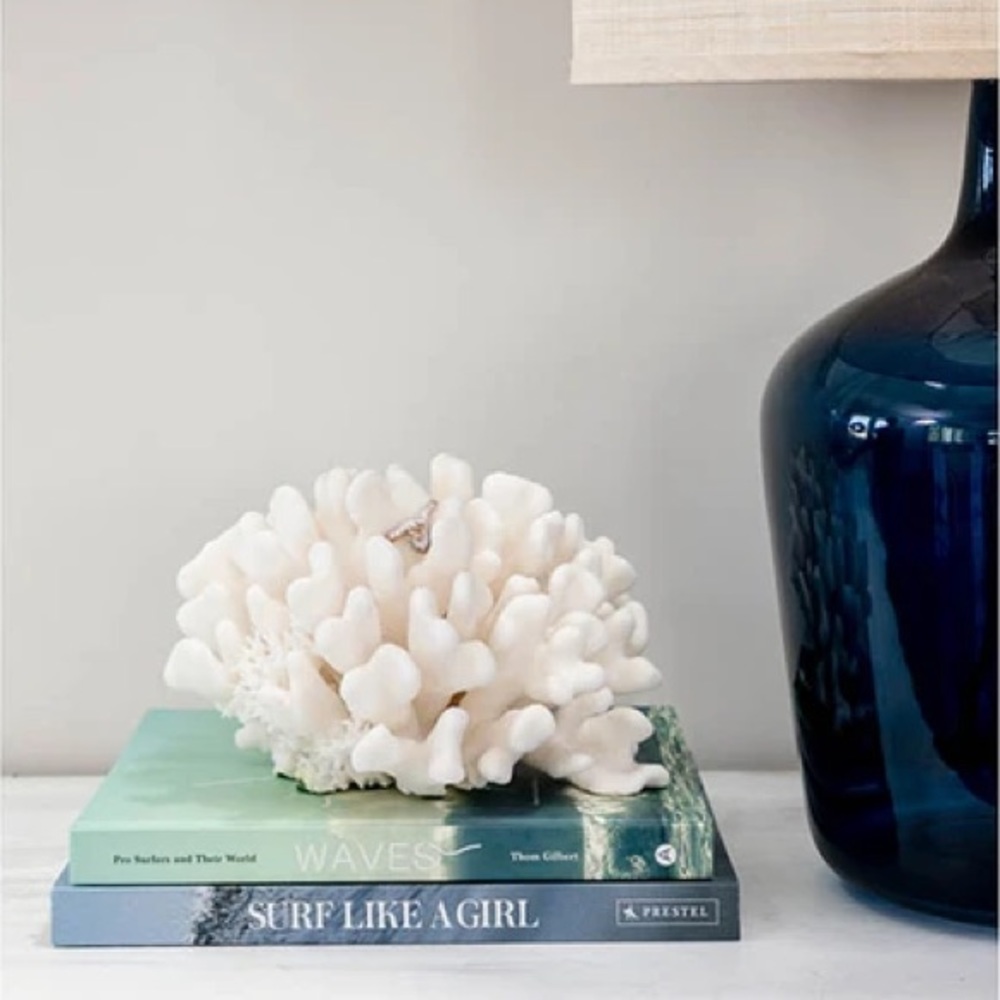 Coffee Table Book NWT